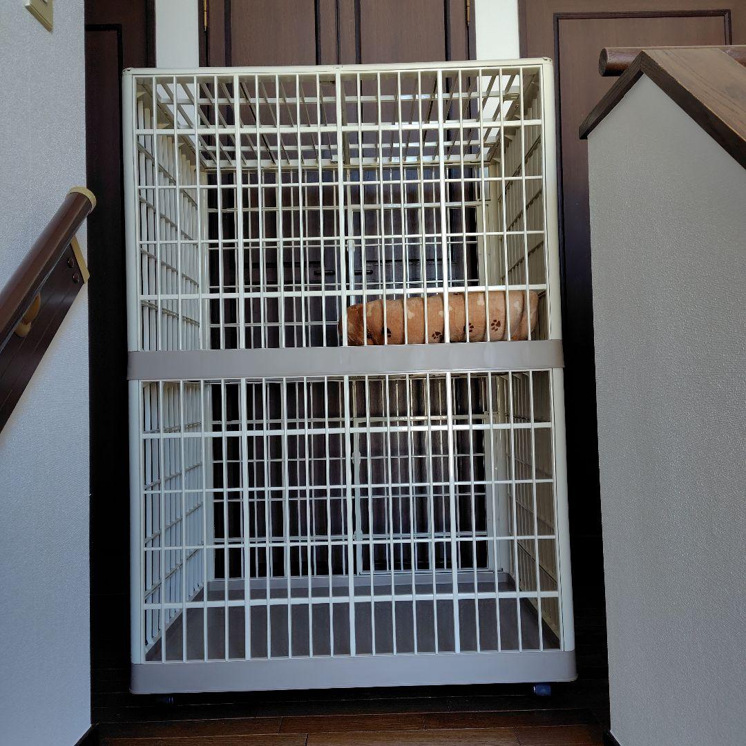 二段式キャットケージ ホワイト・グレー