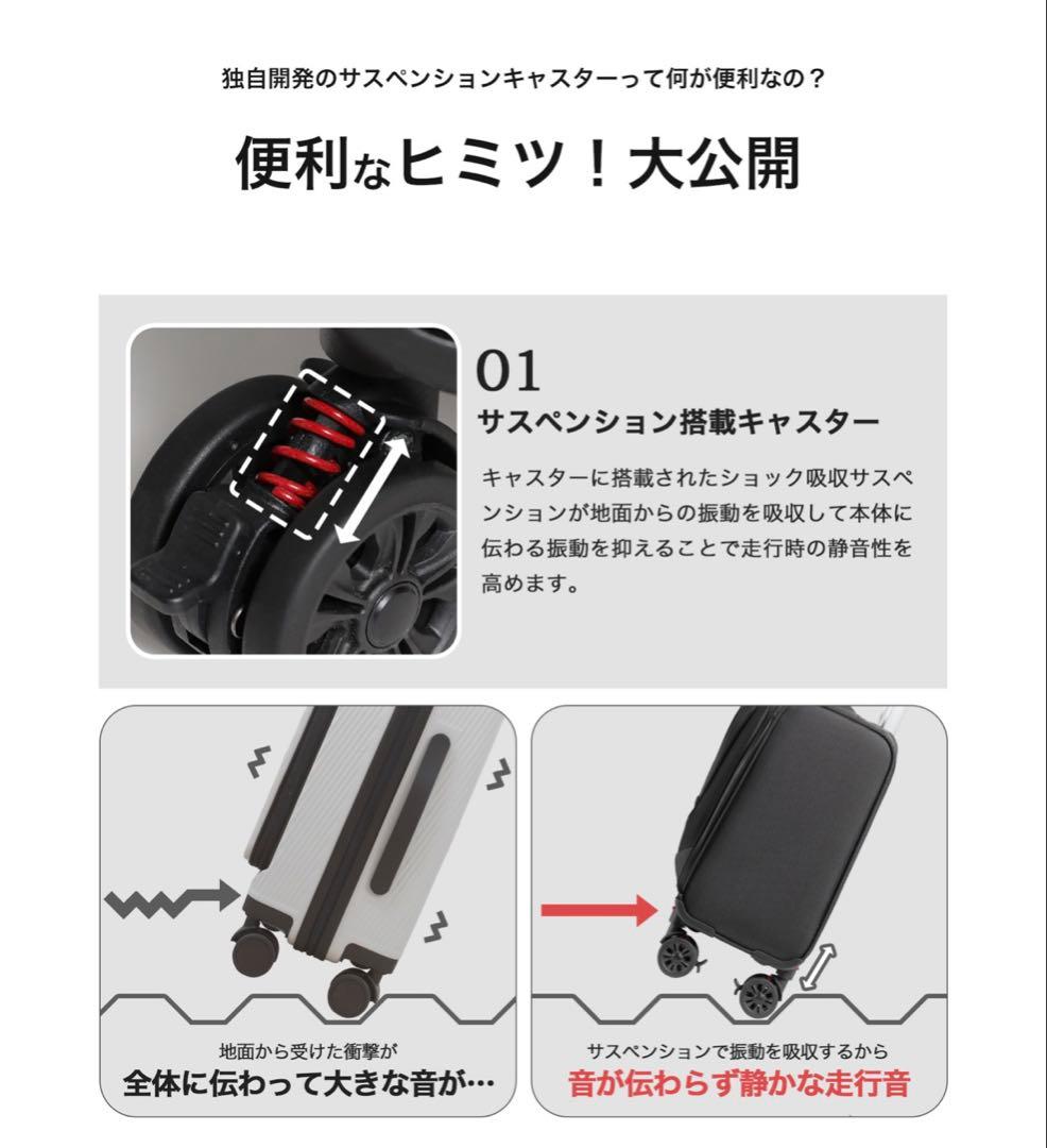 【ほぼ未使用】Proevo ビジネスキャリーケース　S 36l