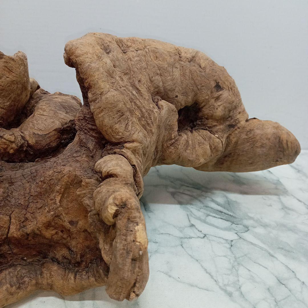 アク抜き済み流木【328】最終価格