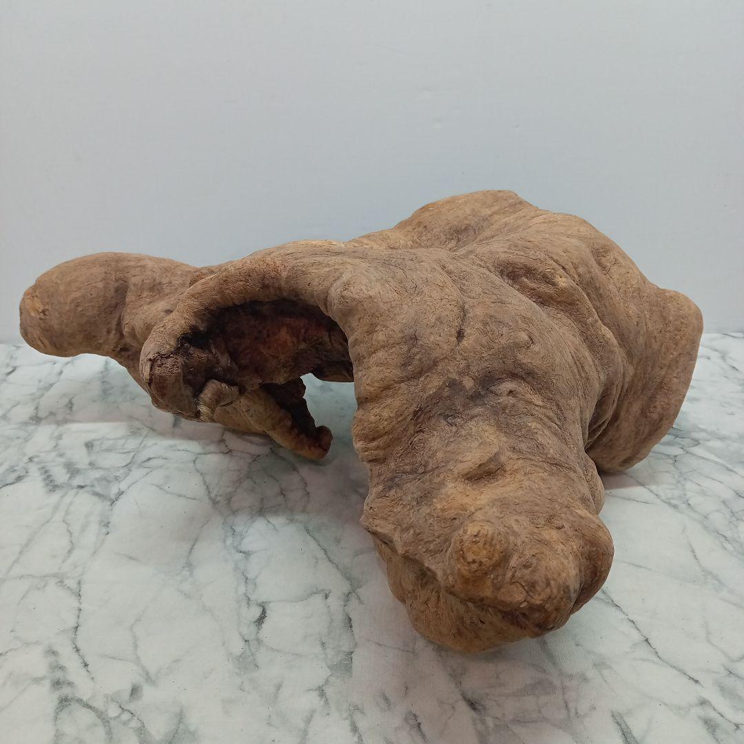 アク抜き済み流木【328】最終価格