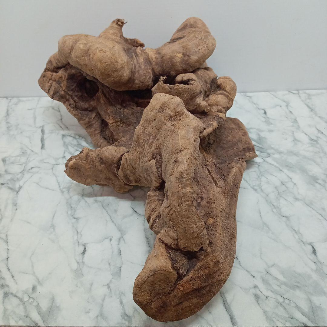 アク抜き済み流木【328】最終価格