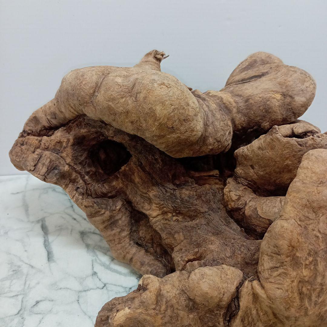 アク抜き済み流木【328】最終価格