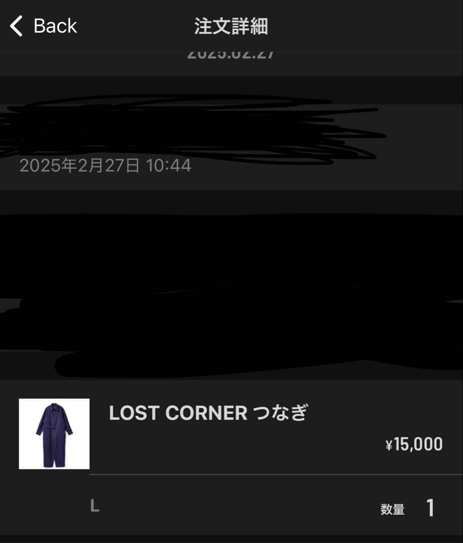 米津玄師 LOST CORNER つなぎ Lサイズ JUNK