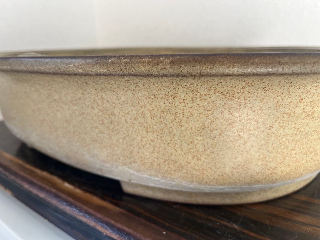 中国古盆器＜白交趾★時代乗り満点★発色抜群・希少、人気型・使い頃サイズ＞楕円