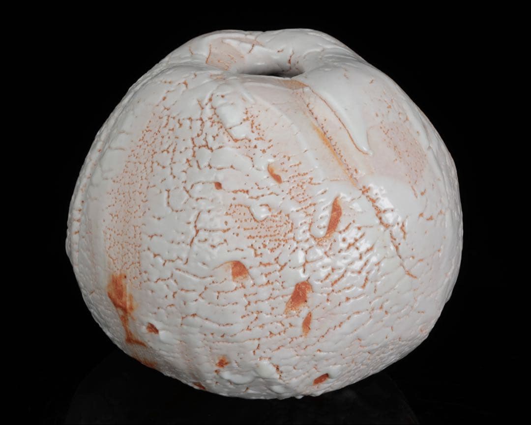 林正太郎 志野壺 共箱 栞付 高さ25㎝ 美濃焼 現代陶芸 花器 飾壺 日本美術