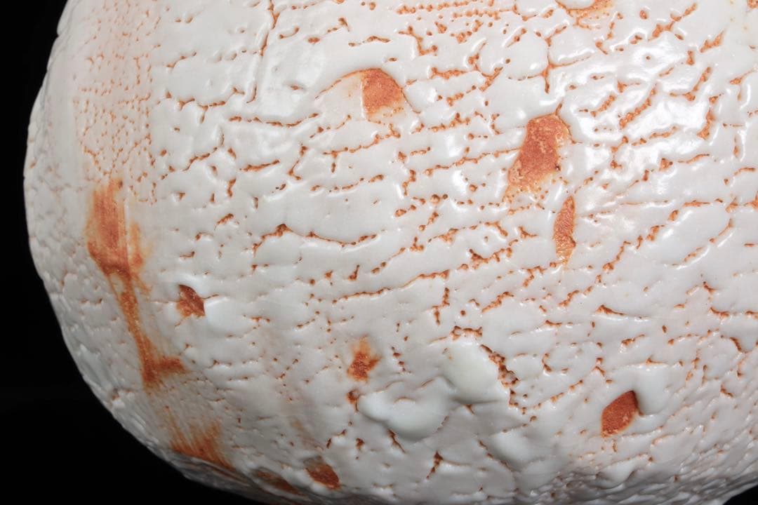 林正太郎 志野壺 共箱 栞付 高さ25㎝ 美濃焼 現代陶芸 花器 飾壺 日本美術