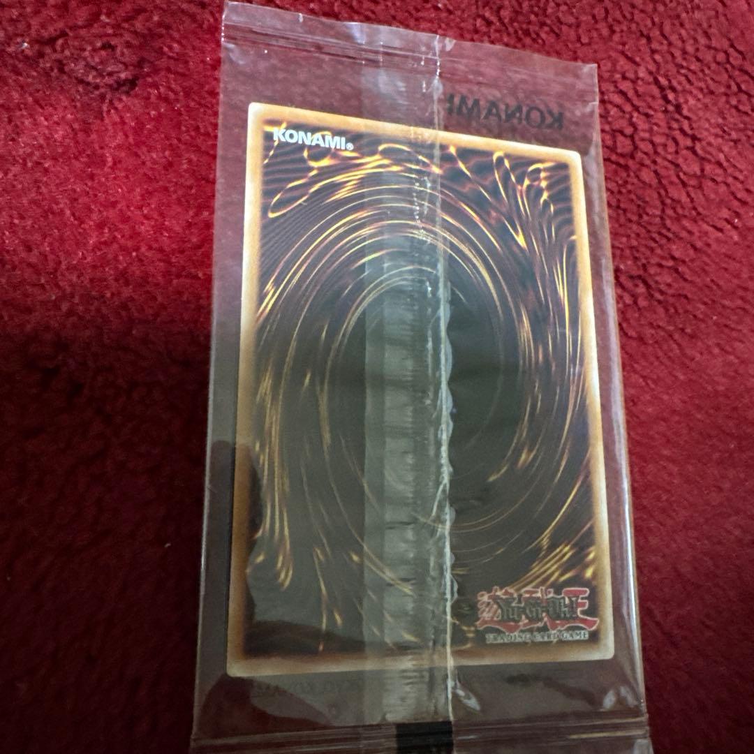 【安心鑑定】遊戯王 x NIKE コラボ レッドアイズブラックドラゴン