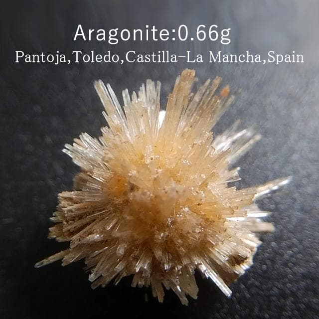 0.66g　アラゴナイト　かわいいウニゴナイト(仮称)　霰石