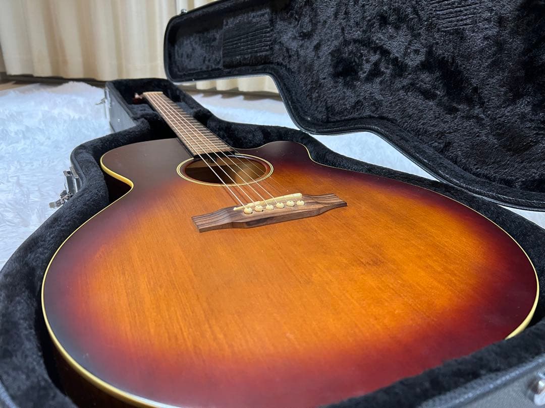 Takamine G Series エレアコ