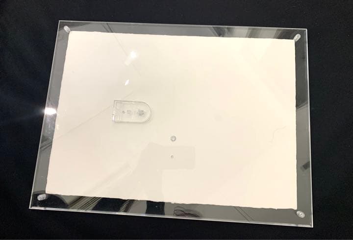 『地上の楽園コスモス』白雲友子