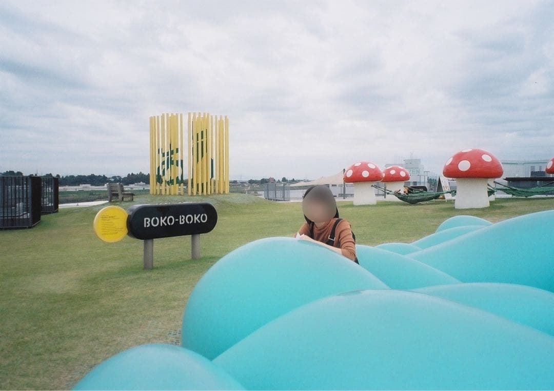 さめだ NATURA CLASSICA （自動巻き戻しに動作不良あり）