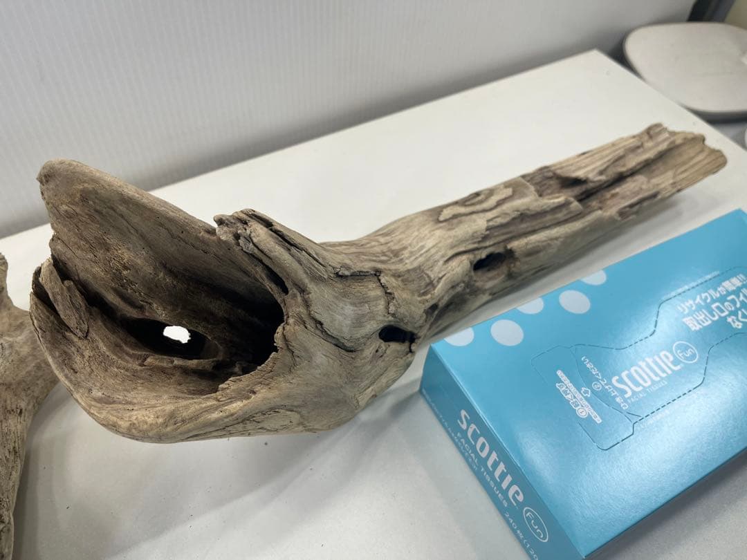 R70アク抜き済み流木 爬虫類シェルター レイアウト用 インテリア エアプランツ