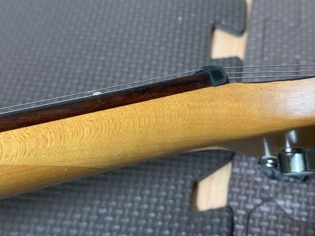 Chatting Bird Mockingbird モッキンバード hide