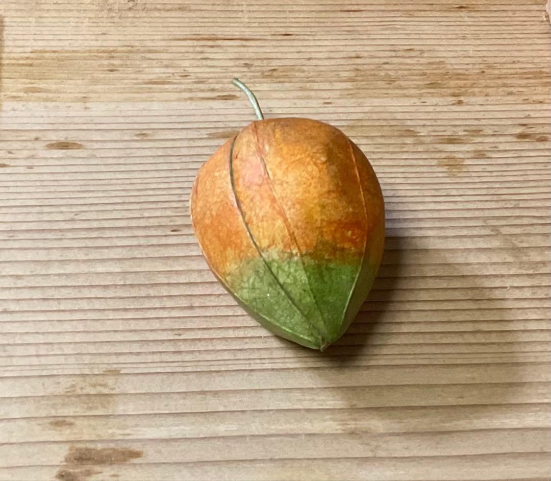 ほおずき図 香合 北原悦子作 木彫塗り 」(共箱)