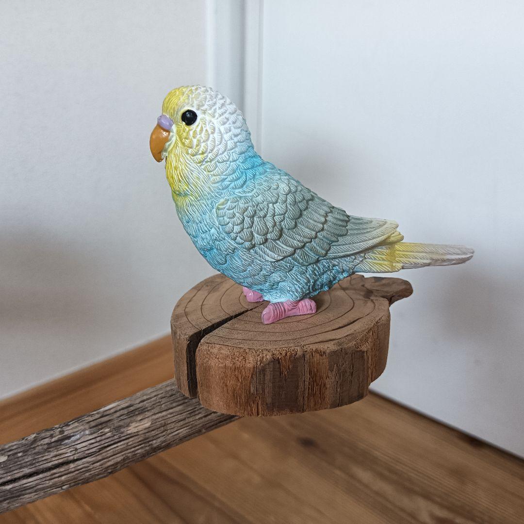 バードアスレチックジム ⑩ 天然木 自然木 流木 インコ おもちゃ