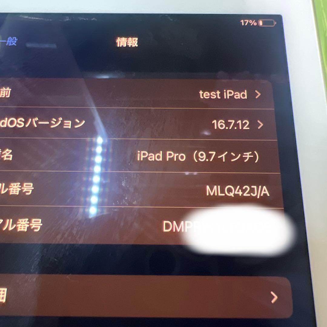 iPad Pro 128GB SIMフリー純正カバー2種類