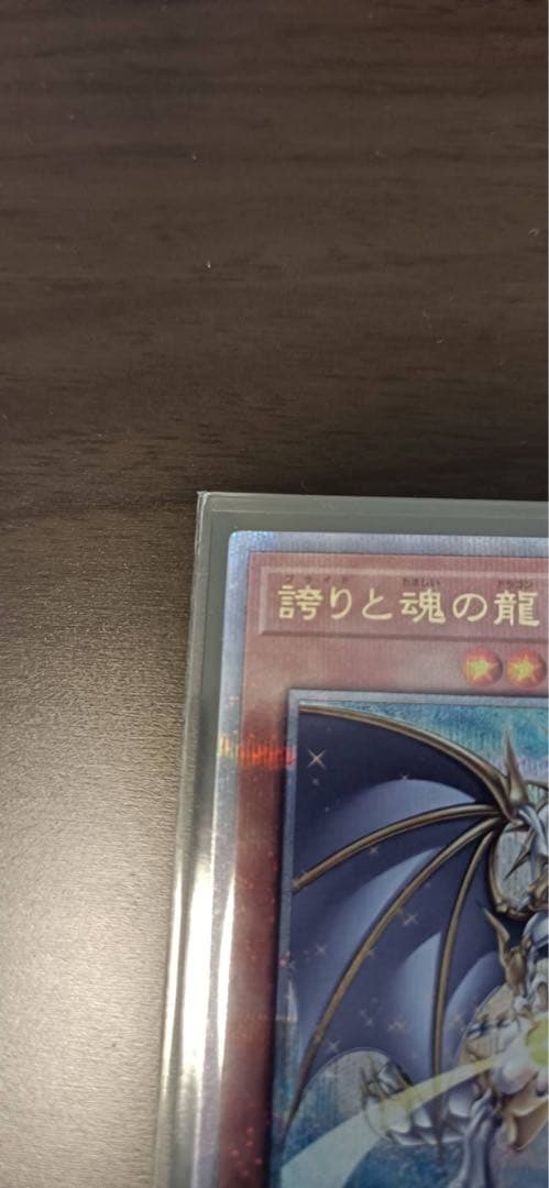 誇りと魂の龍　25th クオシク