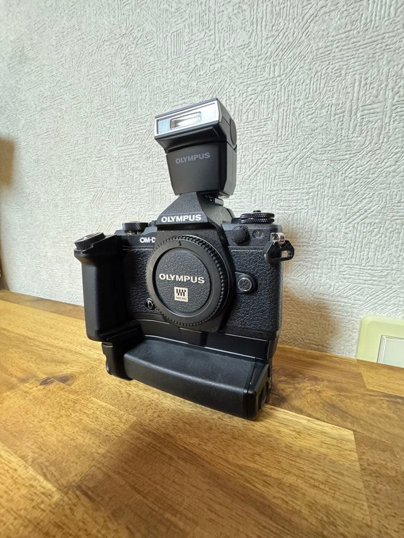 OLYMPUS OM-D E-M5 Mark II 【シャッター数6367】