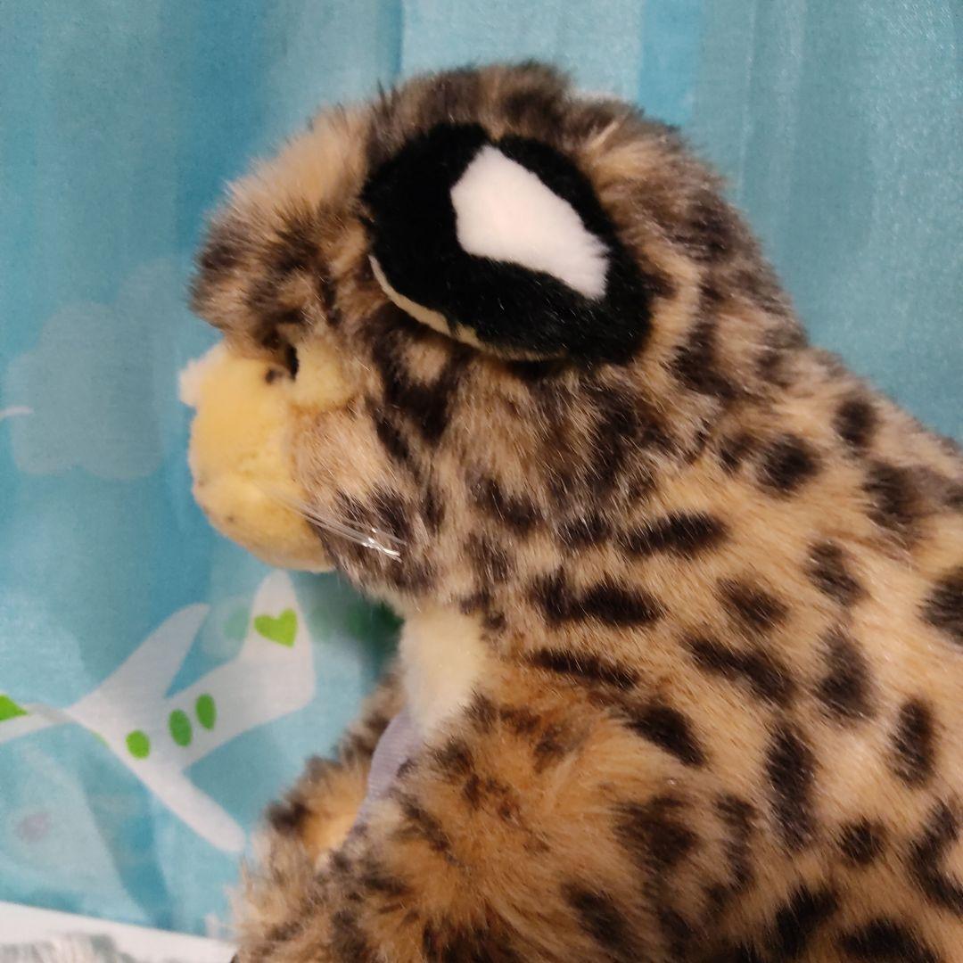 鳥羽水族館　ぬいぐるみ　スナドリネコ　ぬいぐるみ　漁り猫