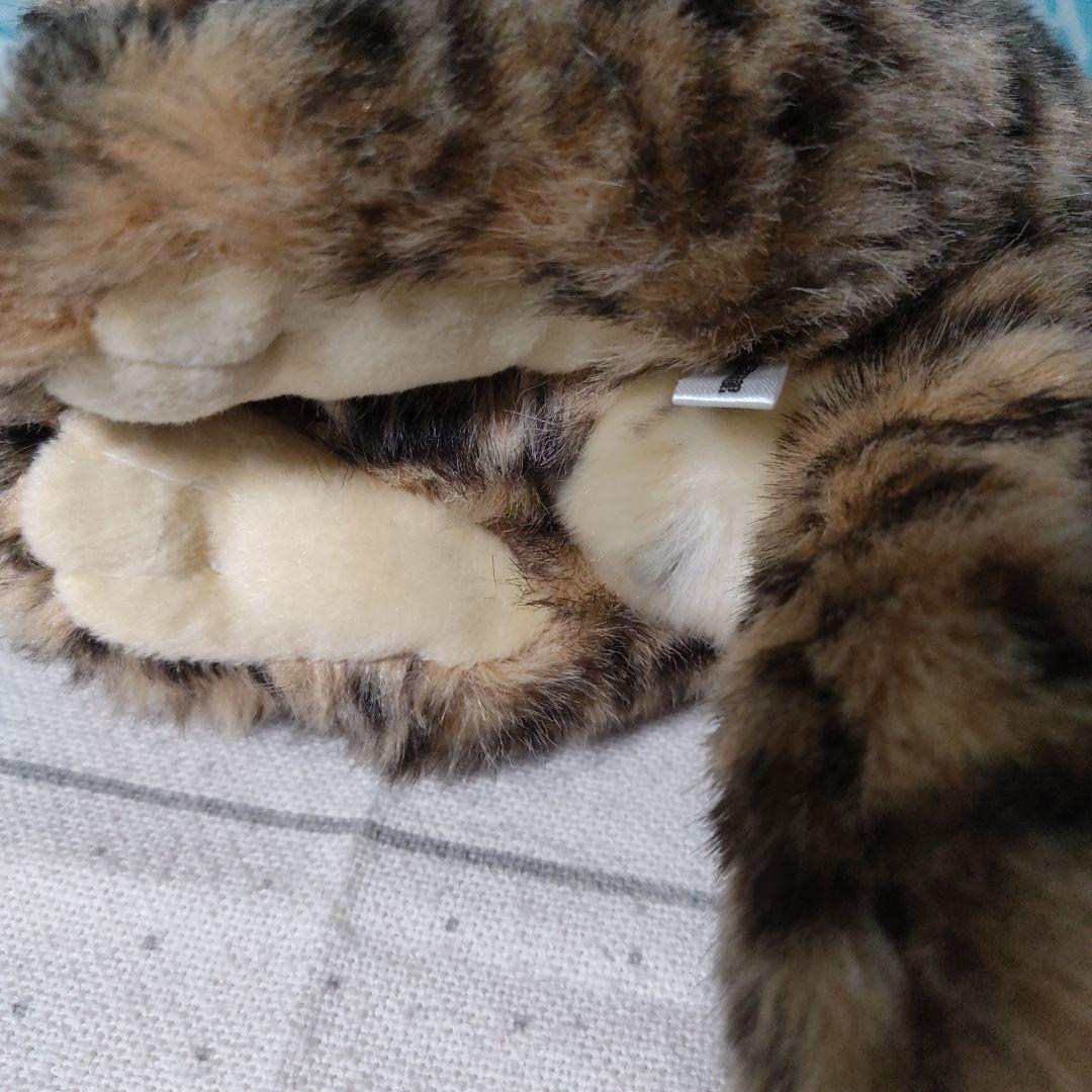 鳥羽水族館　ぬいぐるみ　スナドリネコ　ぬいぐるみ　漁り猫