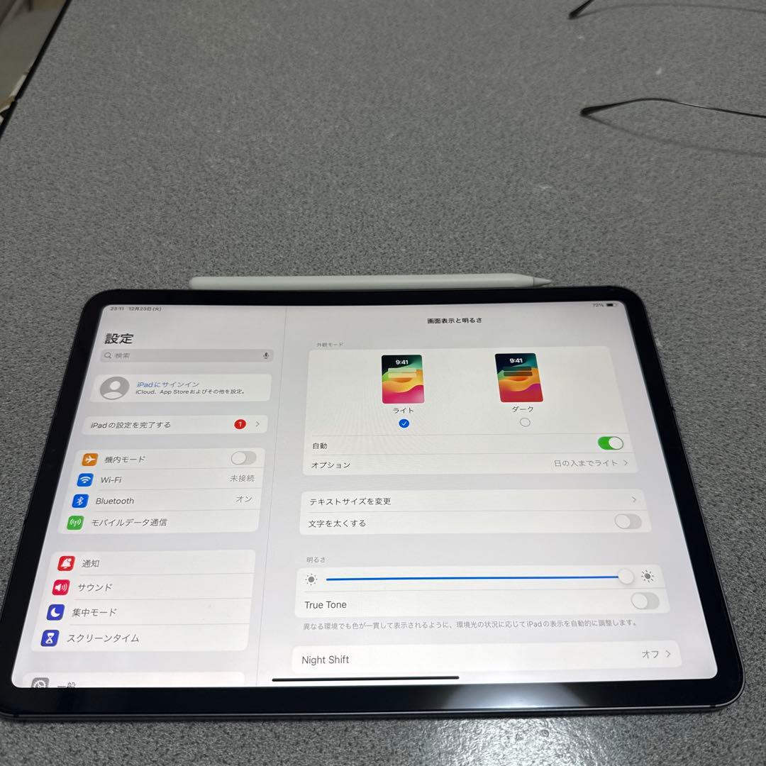 iPadPro11インチ512G(第1世代)セルラー、Apple Pencil付