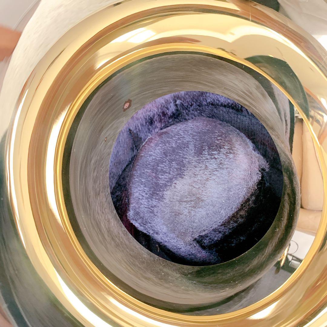 メンテナンス必要　ホルトン　フレンチホルン　ホルン　ケース付き