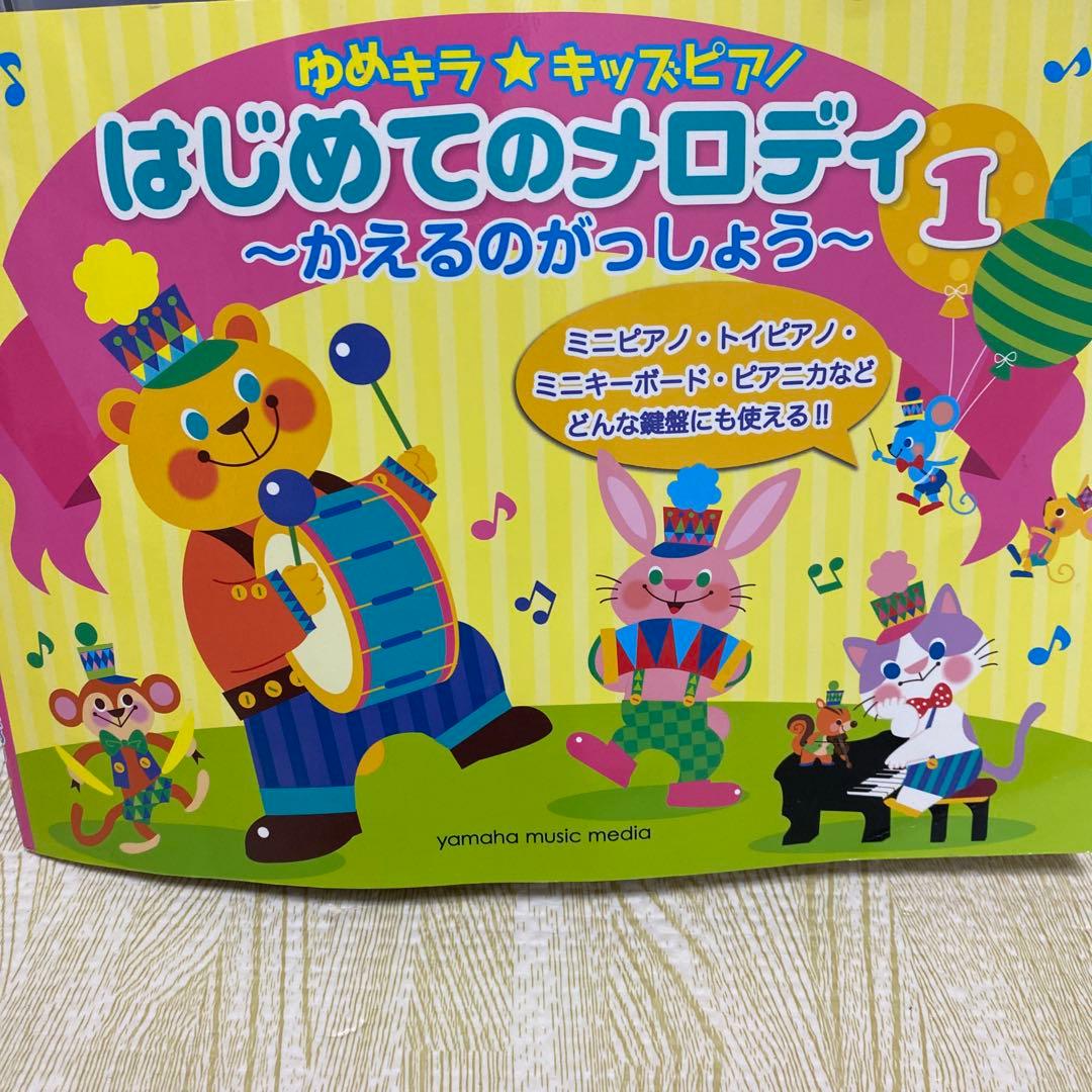 通電確認済 ソニー DCR-TRV900 デジタルピデオカメラ バッテリー付き