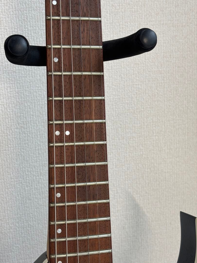 エレキギター アイバニーズ Ibanez RG370ZB-WK