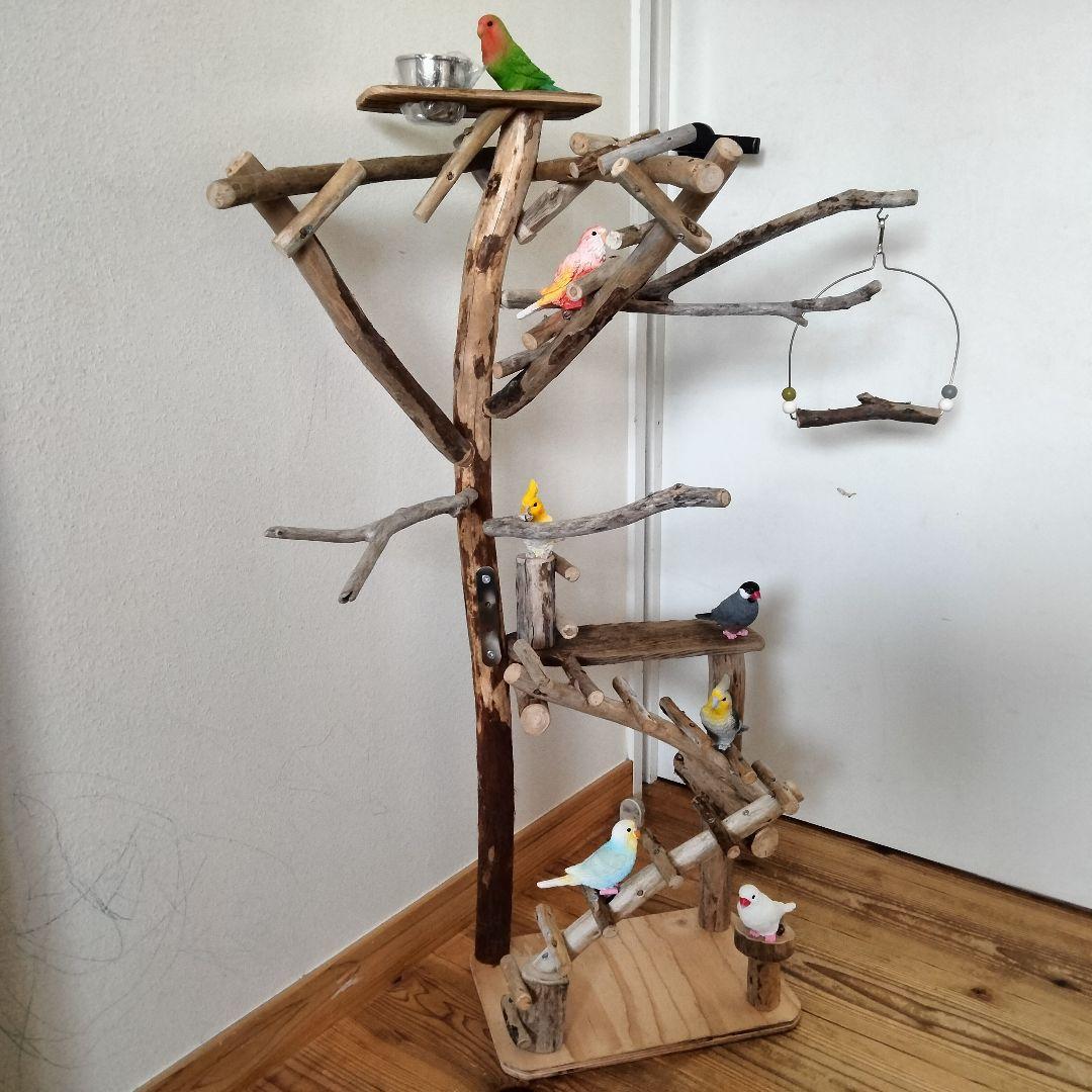 バードアスレチックジム㊻ 天然木 自然木 流木 止まり木 インコ