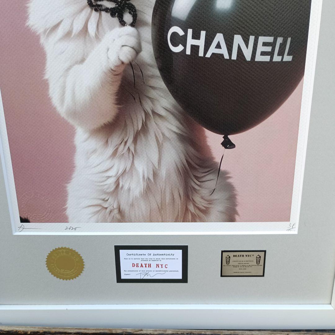 DEATH NYC ZV85 サイン、ナンバー、COAあり