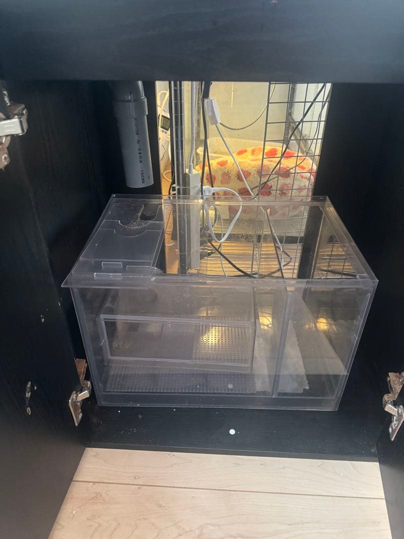 オーバーフロー水槽 60cm ワイド