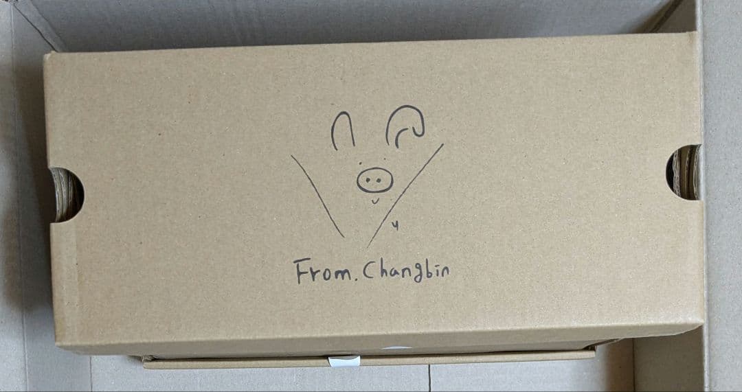 POPUP メンプロ チャンビン サンダル Stray Kids