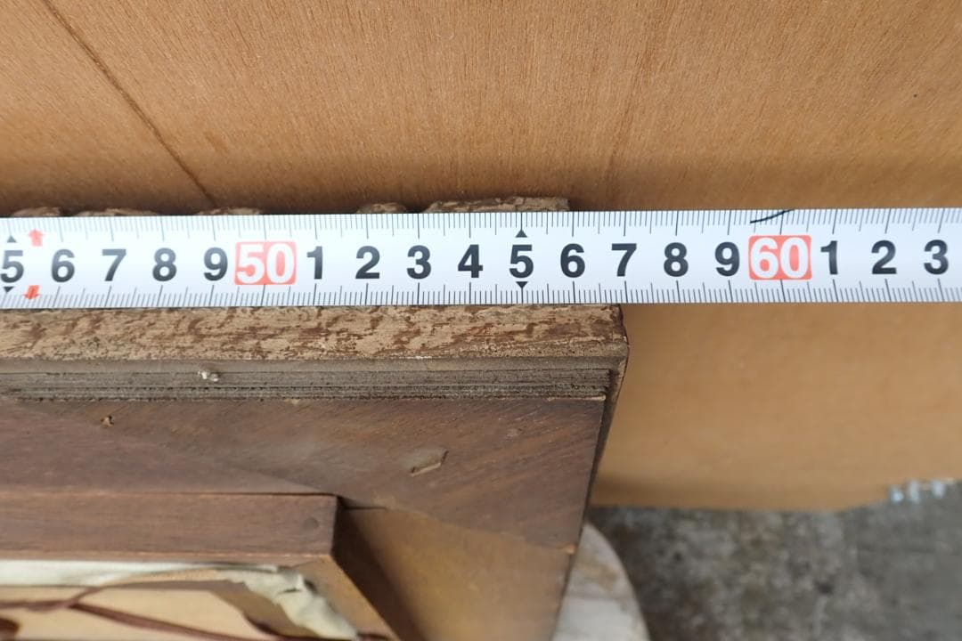 Mariani W サイン入り 油彩 風景画 水辺の森 額装付き ヨーロッパ風景