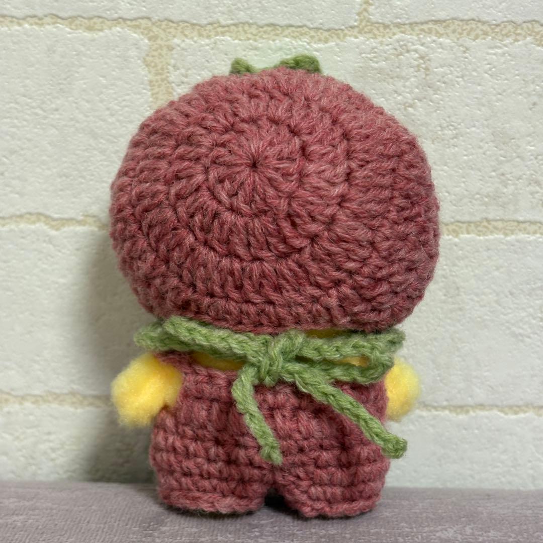 あひるのこ様　skzoo 10cm ぬいぐるみ　ぬい服　straykids