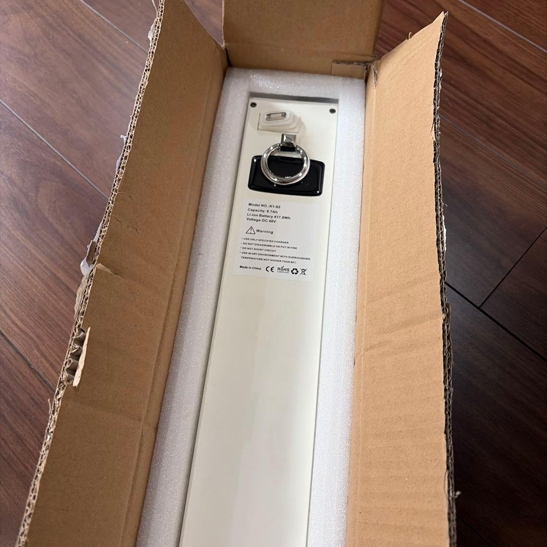 BLAZE 電動バイク SMART EV 脱着式　バッテリー