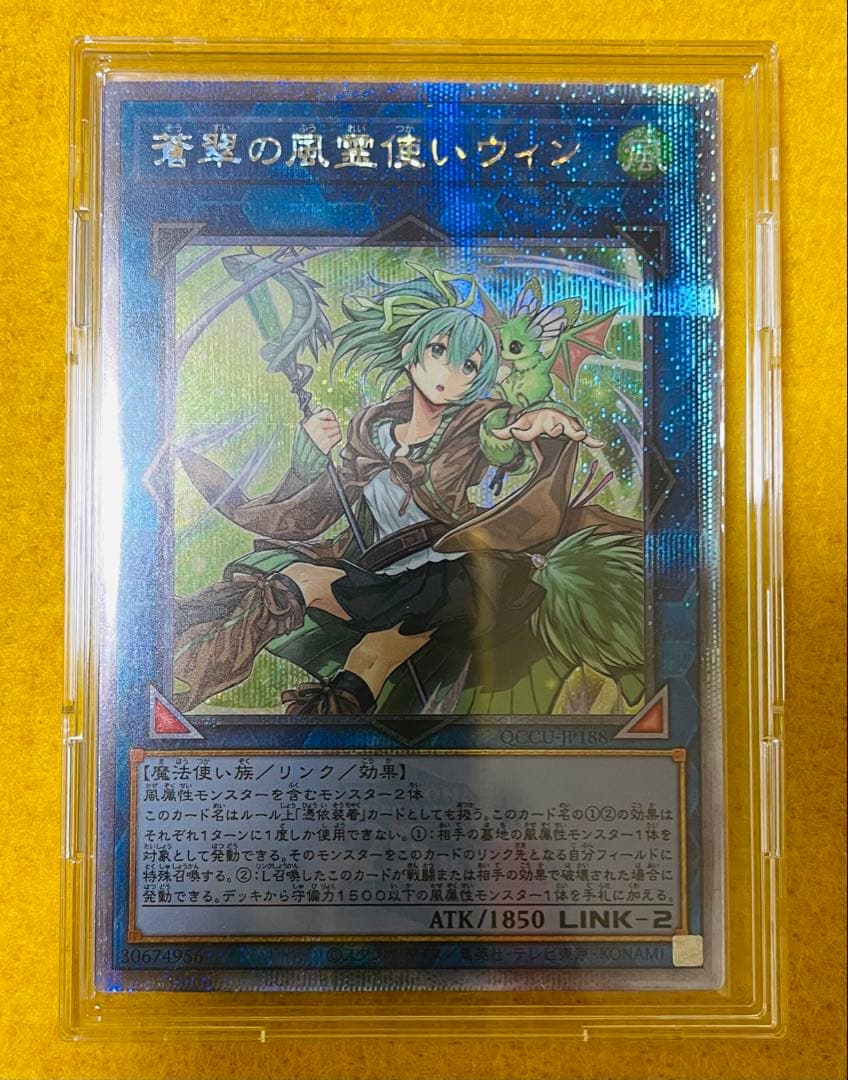 遊戯王　コレクション品　side:PRIDE 東京ドーム