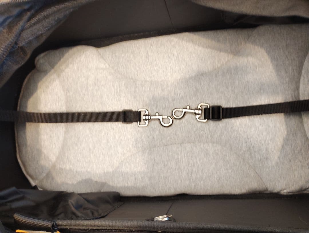 エアバギー×Mercedes-BenzDOME2 M