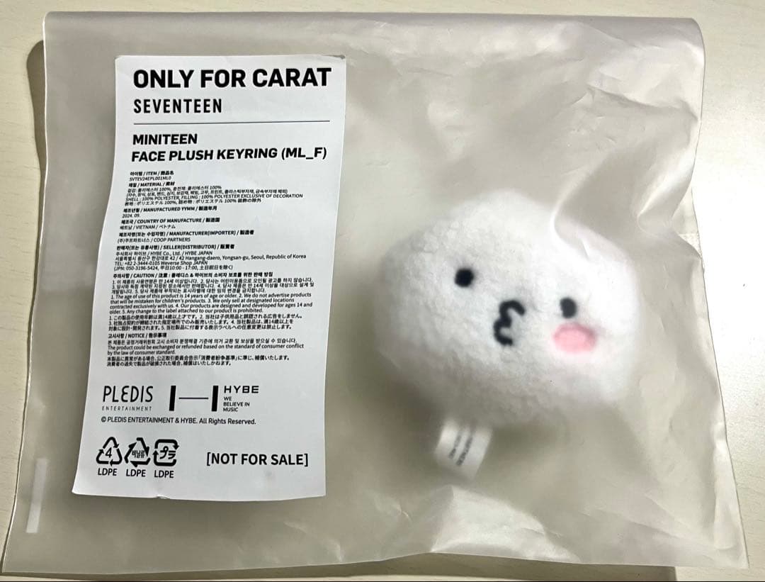 SEVENTEEN ウジ サノク キーリング MINITEEN