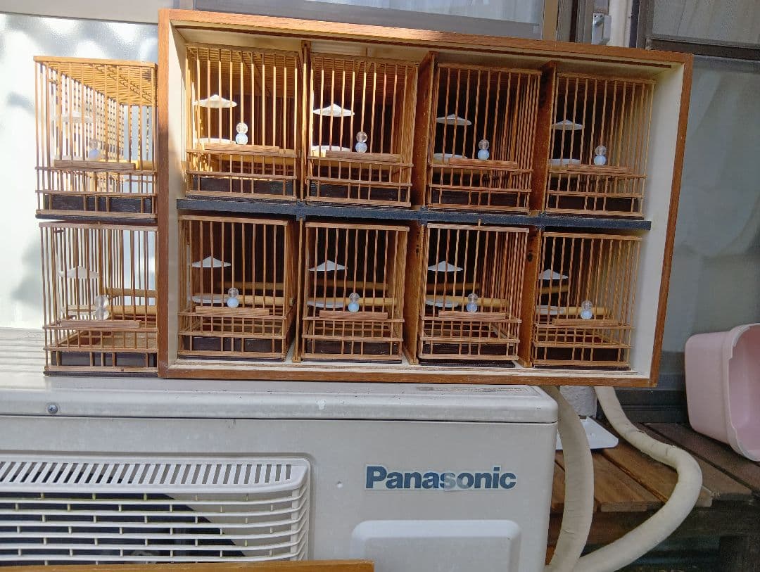 メジロ籠　ヨシガイ8寸5分 手作りデコラ八羽箱　かご8個