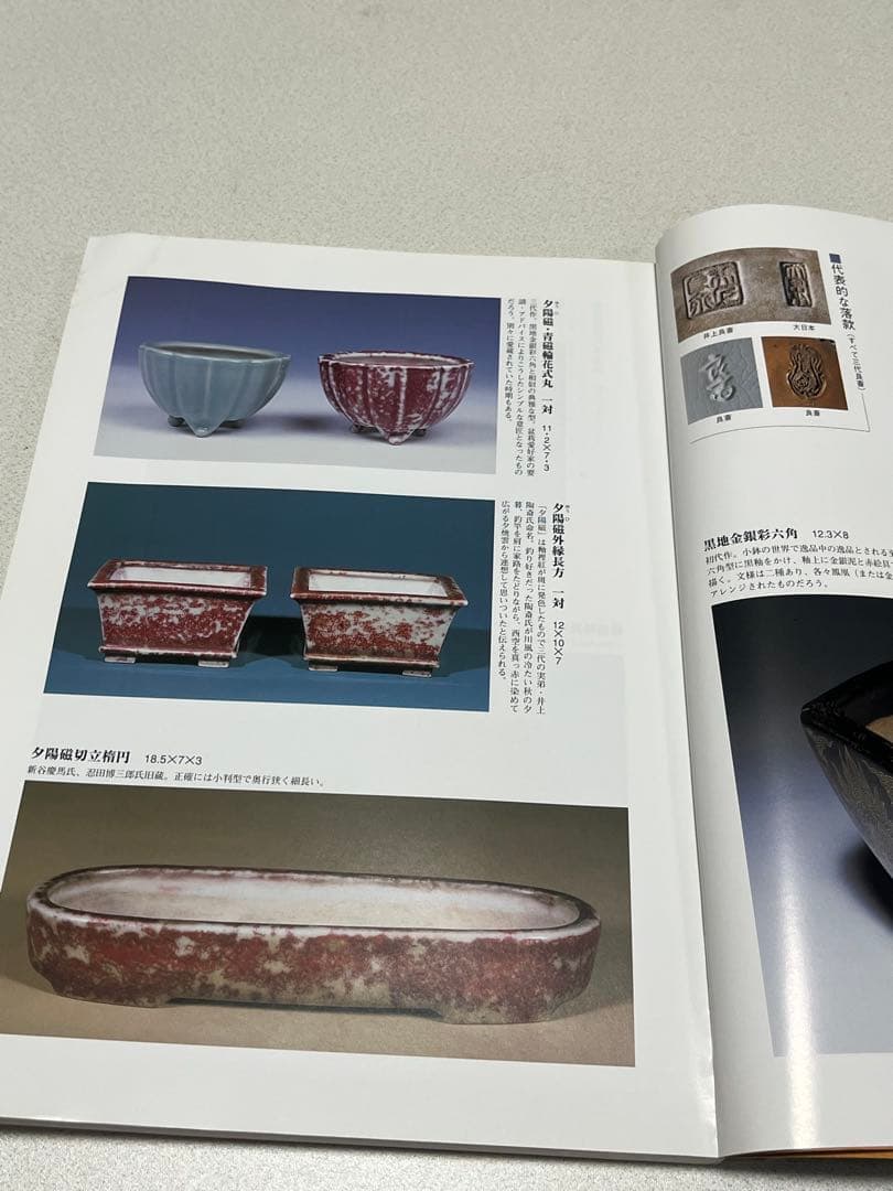 本　盆栽鉢　植木鉢　図鑑