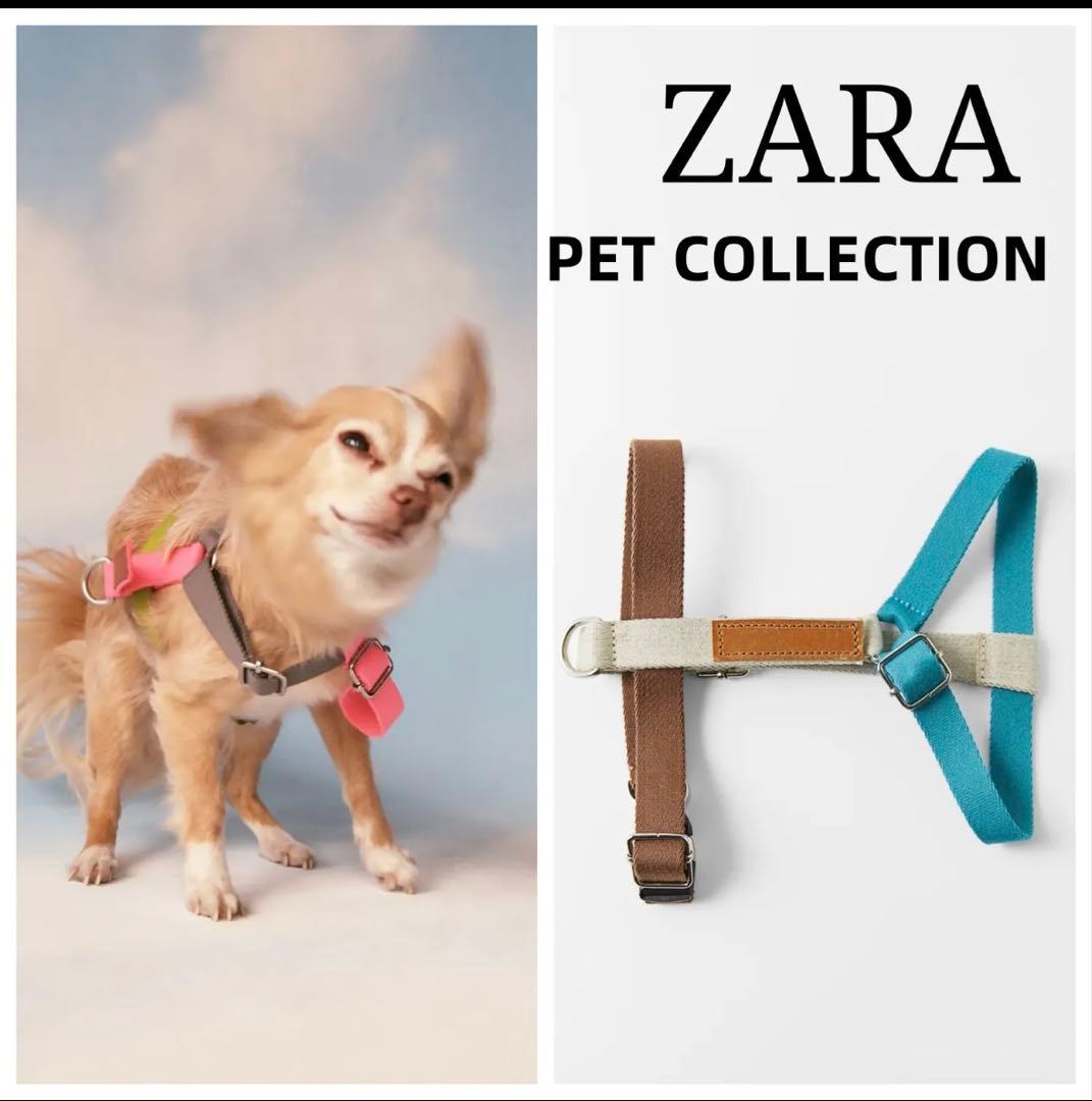 ZARA ペットコレクション　犬　リード　ハーネス