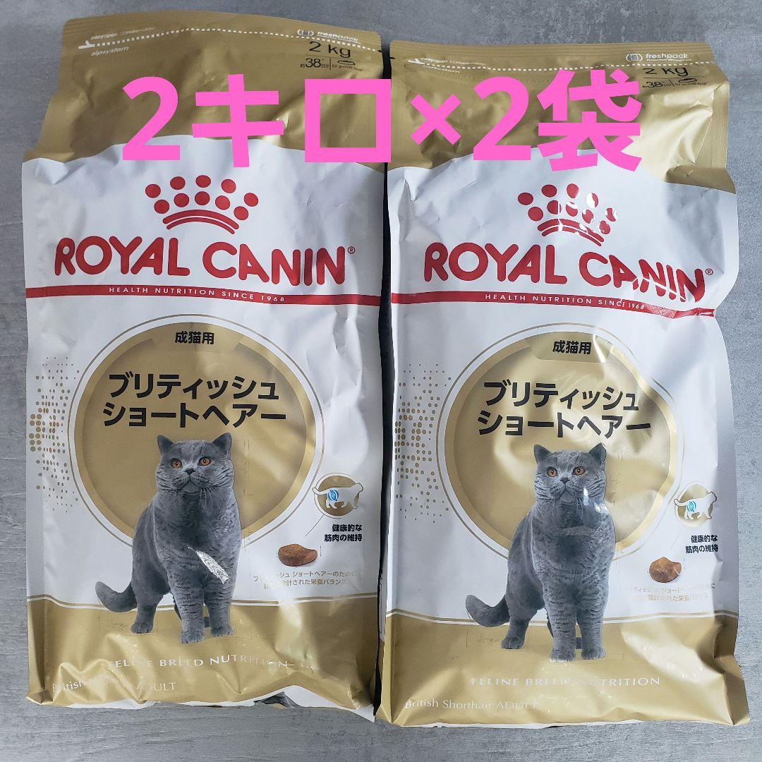 ロイヤルカナン ブリティッシュショートヘア 2kg×2袋