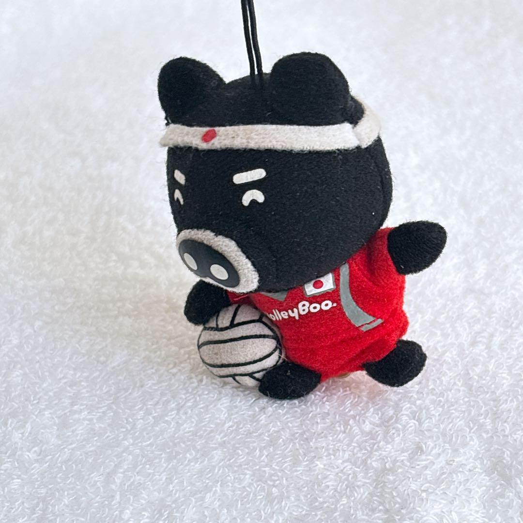 【レア非売品】TBS バレーブー VolleyBoo マスコットぬいぐるみ 黒豚