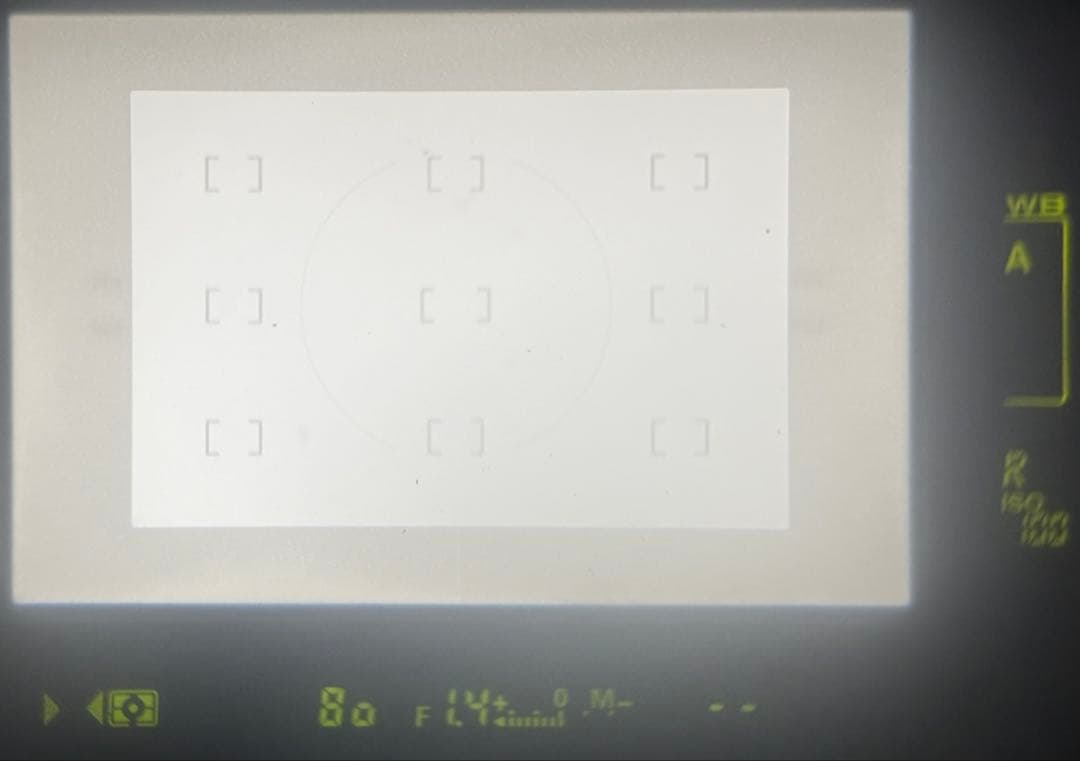 Nikon D2Xs デジタル一眼レフカメラ ジャンク