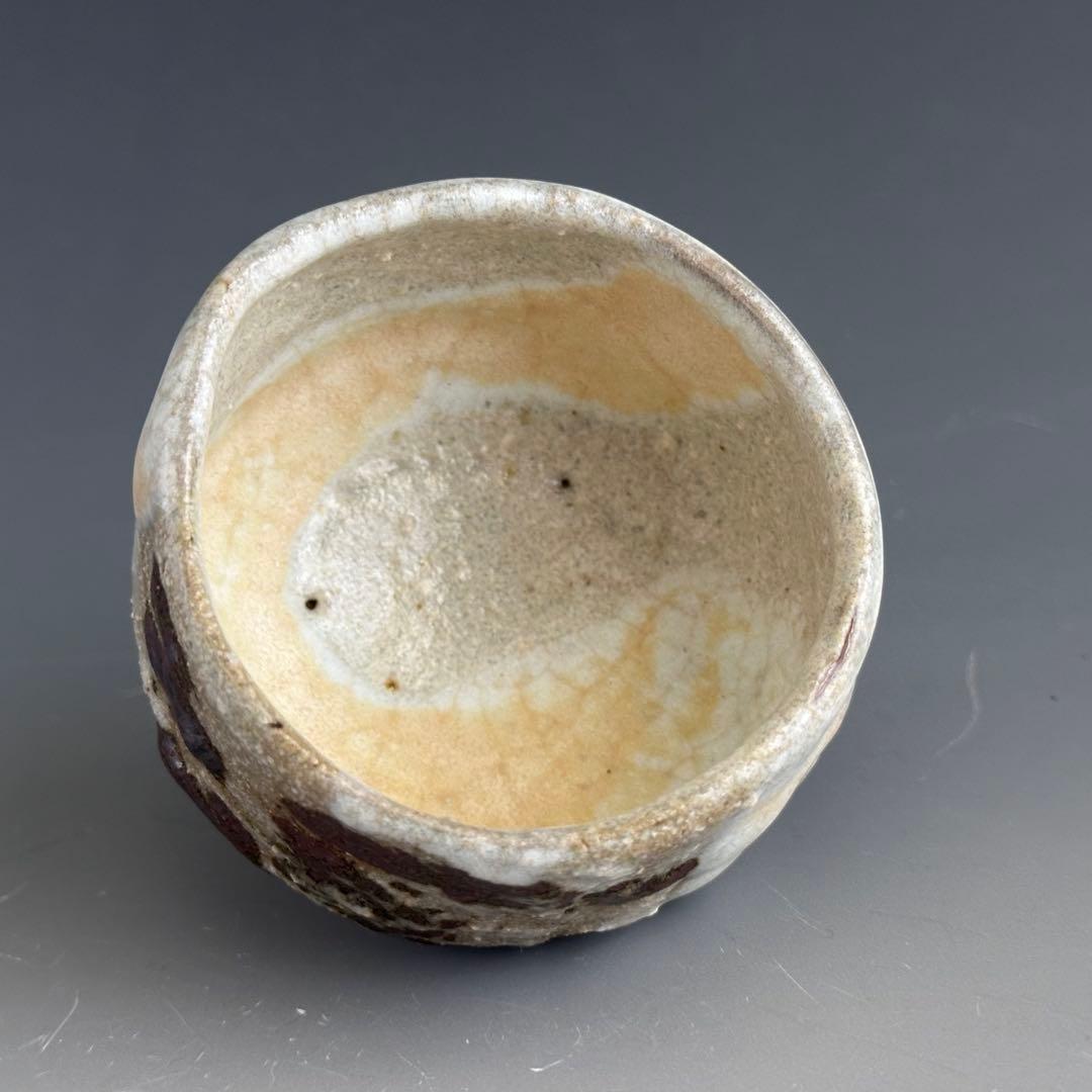 酒器　ぐい呑み　清水保孝　鉄絵　亀遊文　共箱　京焼　父：清水卯一　現代陶芸