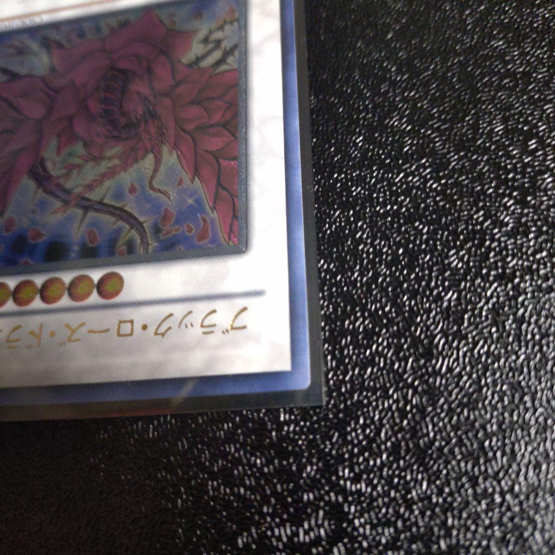 ブラック・ローズ・ドラゴン　レリーフ