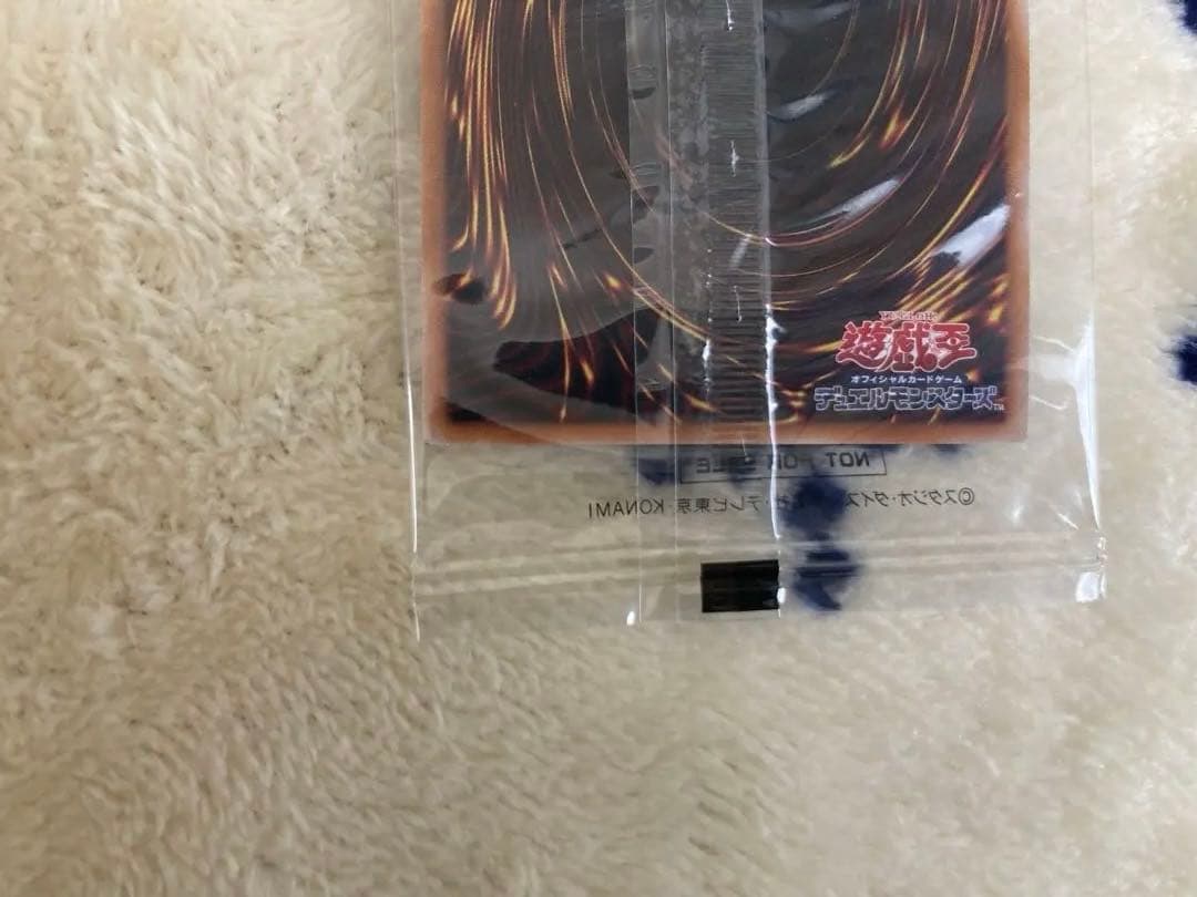 遊戯王 25th 決闘者伝説 ブラック・マジシャン 東京ドーム