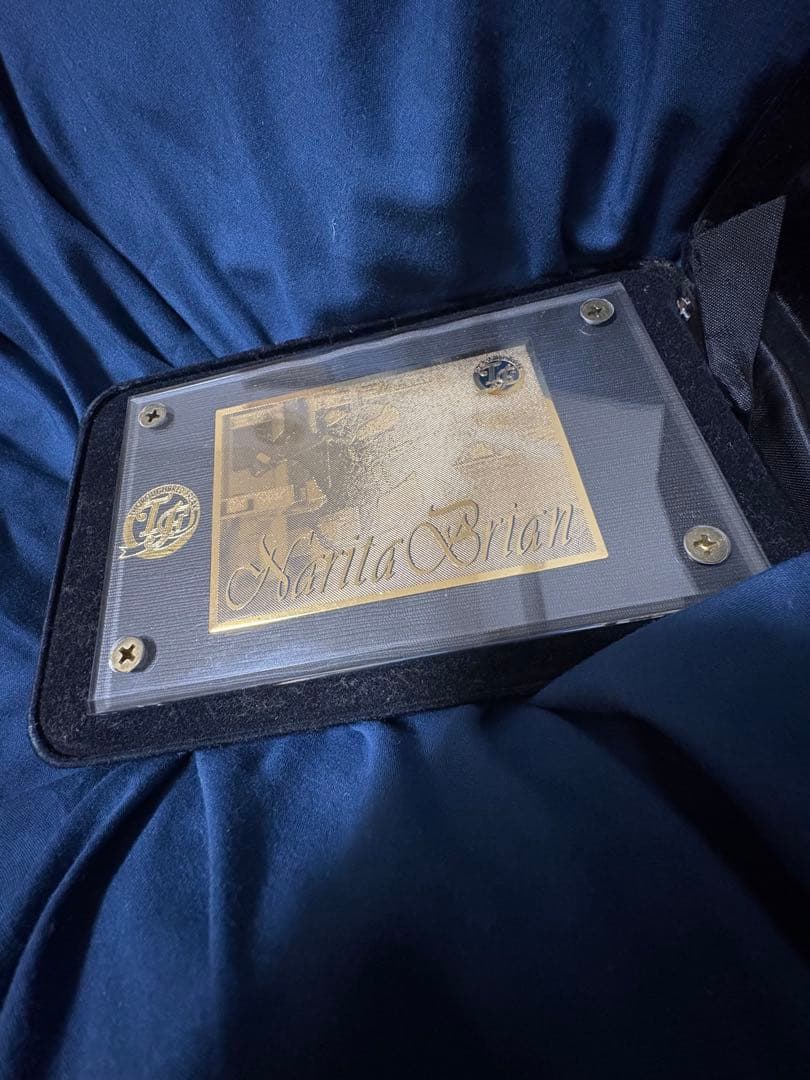 貴重　ナリタブライアン　300枚限定　レア　記念