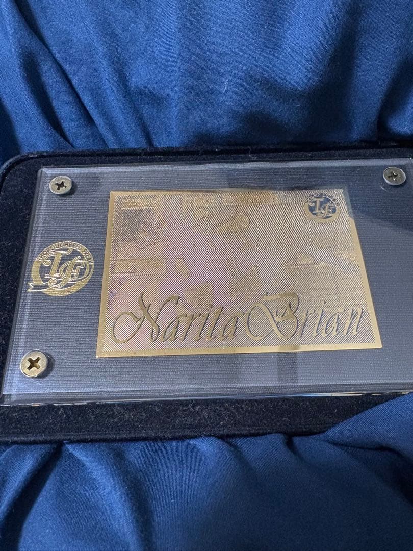 貴重　ナリタブライアン　300枚限定　レア　記念