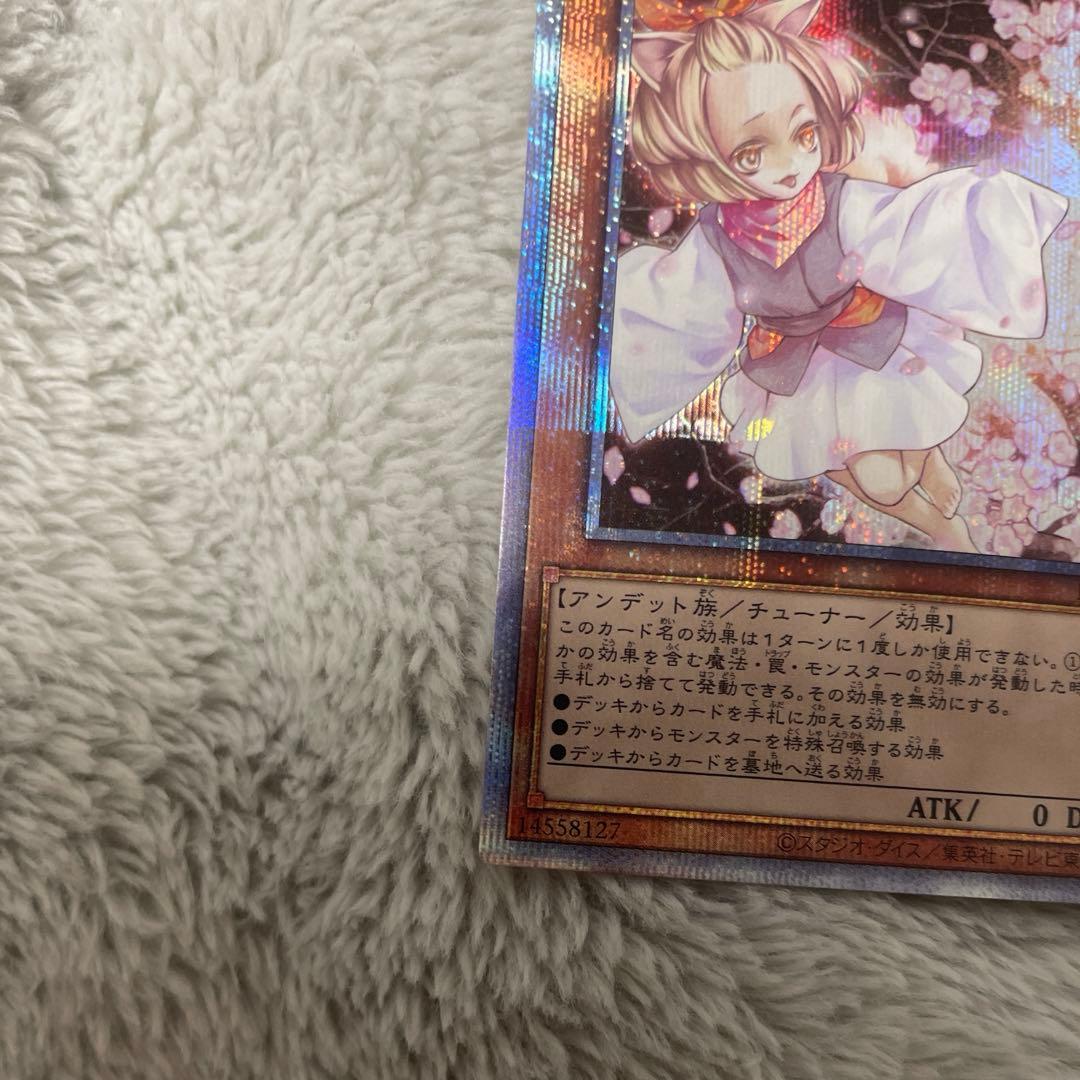 遊戯王 灰流うらら　プリズマ